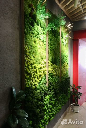 Фитостена и панно из стабилизированного мха
