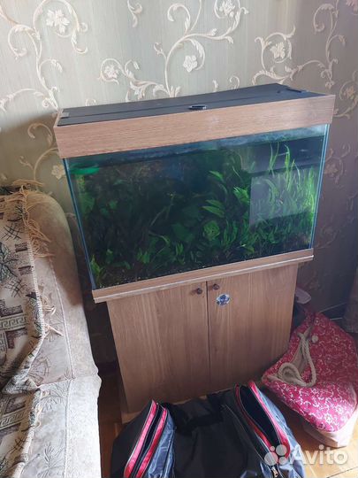Аквариум с тумбой 140л