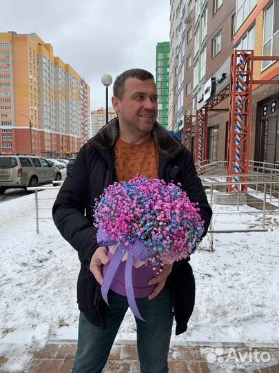 Гипсофила от производителя