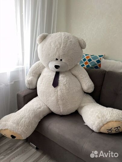 Плюшевый медведь