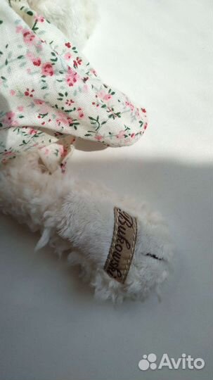 Заяц новый Bukowski