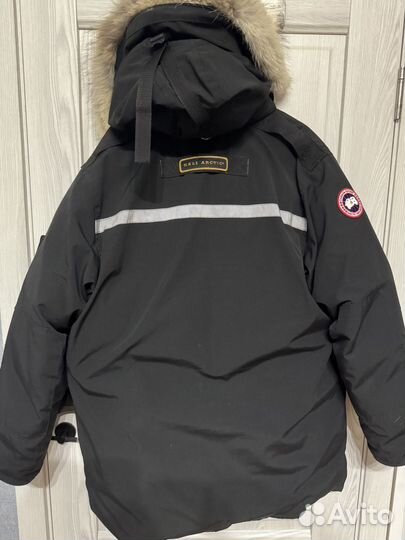 Canada goose heli arctic