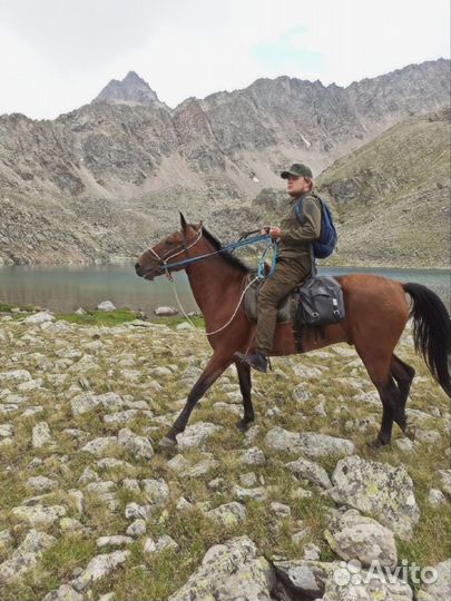 Репетитор младших и средних классов