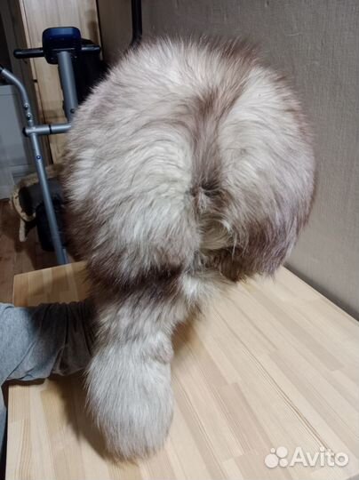 Шапочка зимняя песец