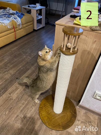 Когтеточка для кошек