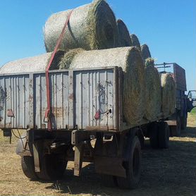 Продам сено в рулонах. Обмен на телят коров, быков