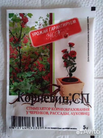 Корневин