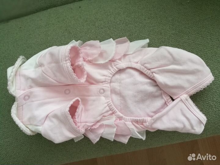 Одежда для собак