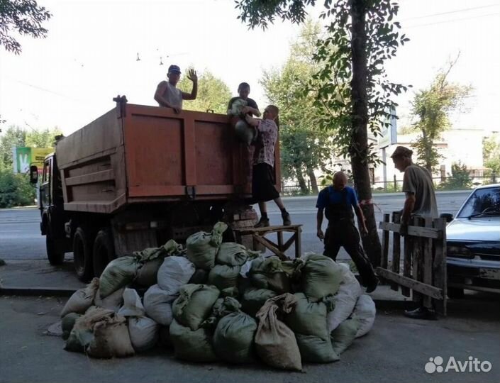 Вывоз мусора строительного