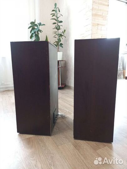 Колонки radiotehnika s90