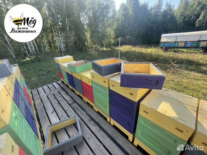 Мед свежий натуральный. Акация