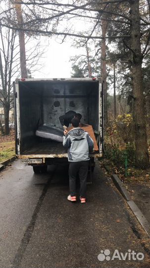 Грузоперевозки Петеогоф Ломоносов СПБ / грузчики