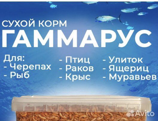 Гаммарус /корм для рыб/черепах/улиток/птиц/крыс
