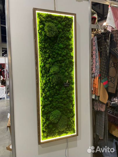 Картина из мха