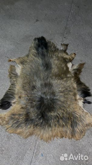 Овечья шкура натуральная
