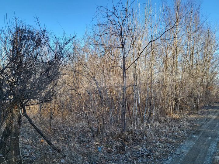 Участок 9,5 сот. (СНТ, ДНП)