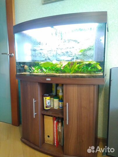 Аквариум панорамный Juwel Vision 180 с тумбой