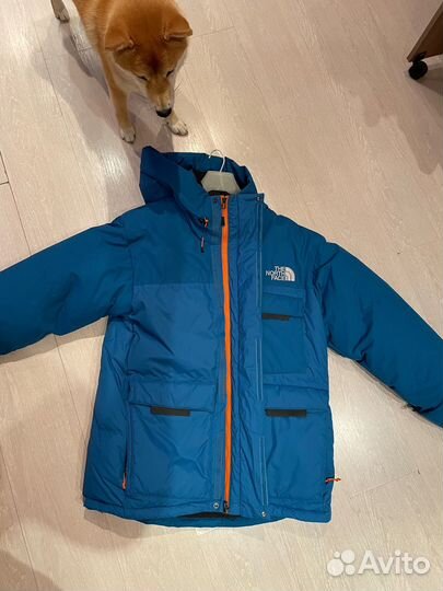 The North Face Polar Jacket Athens Blue