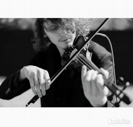 Живая музыка, скрипка