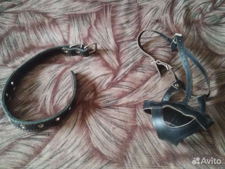 Ошейник для крупных собак и намордник