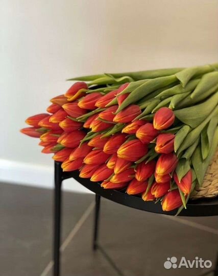 Цветы тюльпаны букеты