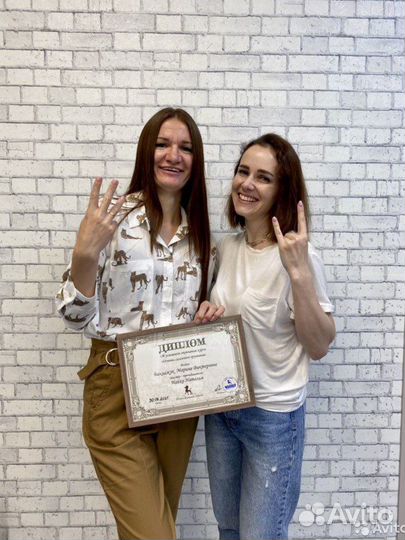 Обучение основам груминга