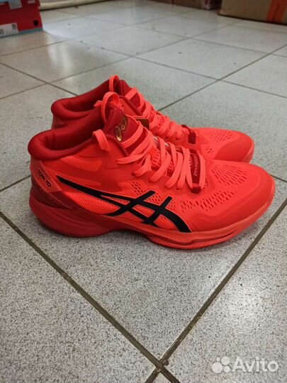 Волейбольные кроссовки Asics и Mizuno