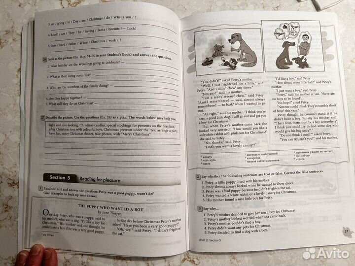 Enjoy English Workbook 1. 5 кл. Рабочая тетрадь 1