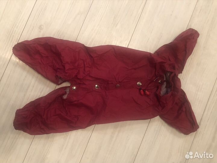 Одежда для средних собак