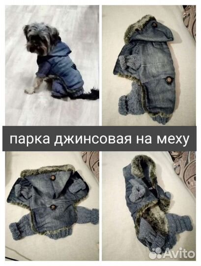 Товары для животных