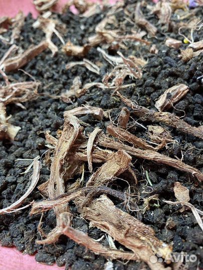 Иван-чай листовой и гранулированный эксклюзивные в