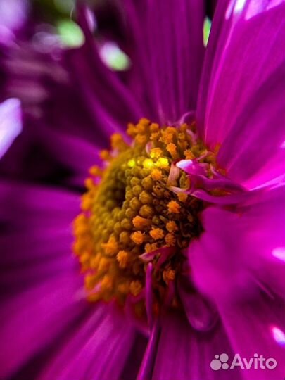 Макролинза