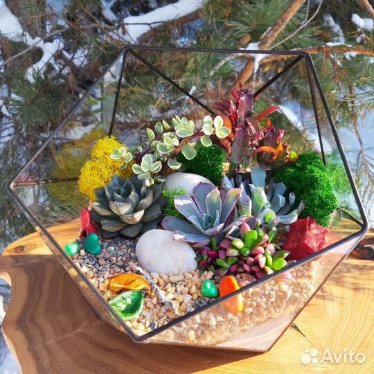 Флорариум. подарки. цветы