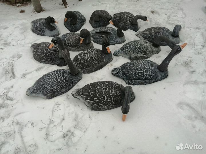 Скорлупки гусей