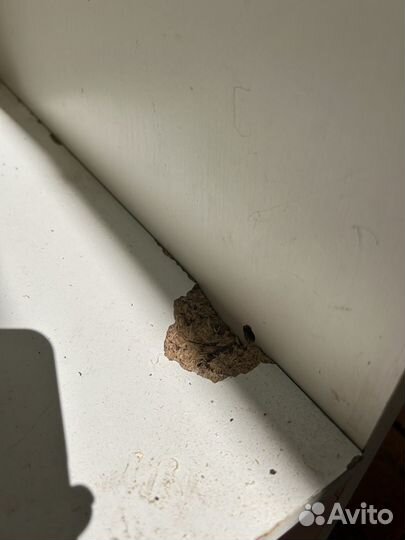 Стол для торговли