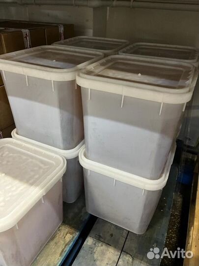 Только оптом мед Разнотравье свежее