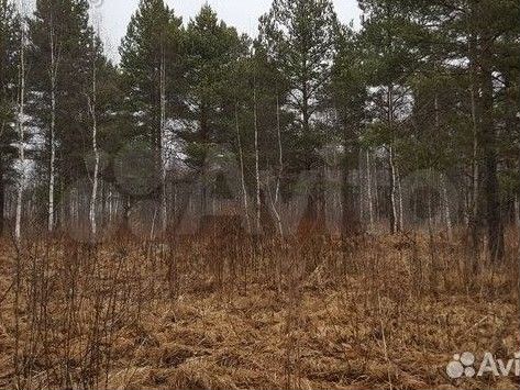 Участок 7,6 га (СНТ, ДНП)