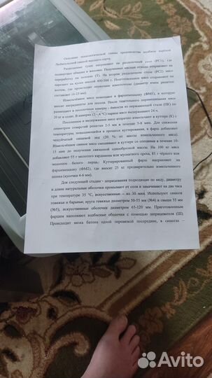 Сканер HP Scanjet G2410