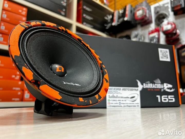 DL Audio Barracuda 165