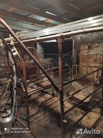 Автоматическая дойка