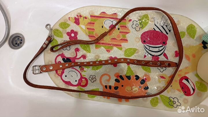 Ошейник для собак