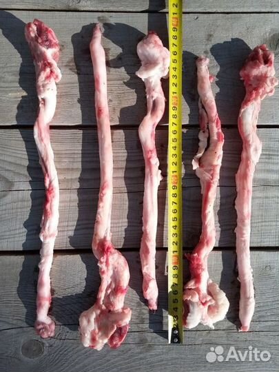 Говяжья и баранья обрезь, субпродукты для собак от