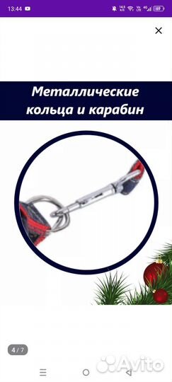 Ошейник, поводок, шлейка