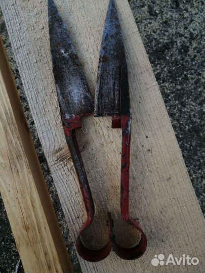 Ножницы для стрижки овец