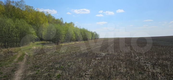 Участок 5 сот. (ИЖС)