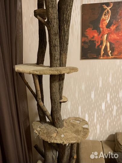 Дерево для кошек, домик и когтеточка