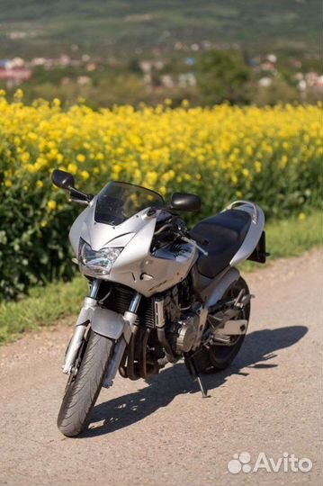 Honda cb 600 hornet s