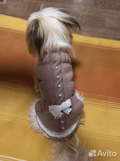 Одежда для маленьких собак. Новая