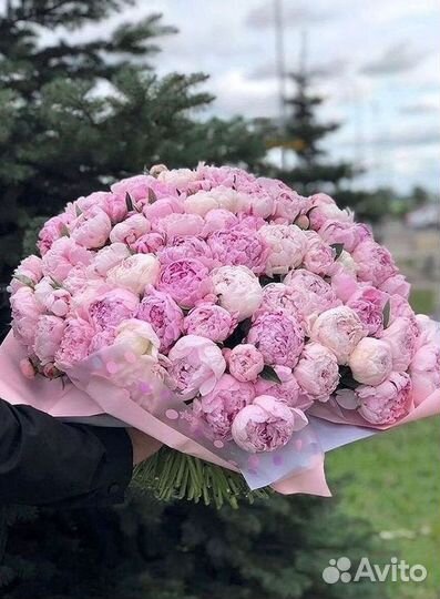 Пионы Цветы Доставка