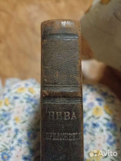 Нива приложение 1895г